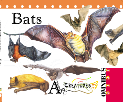 Amazing Creatures Omnibus: Bats