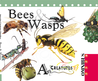 Amazing Creatures Omnibus: Bees & Wasps